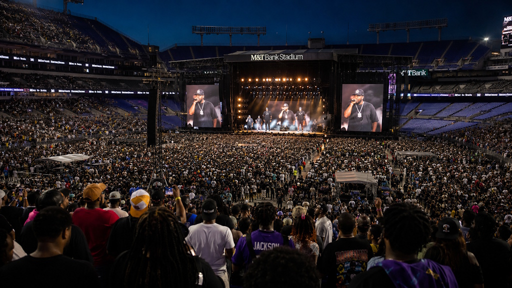 M&T Bank Stadium in Baltimore, MD